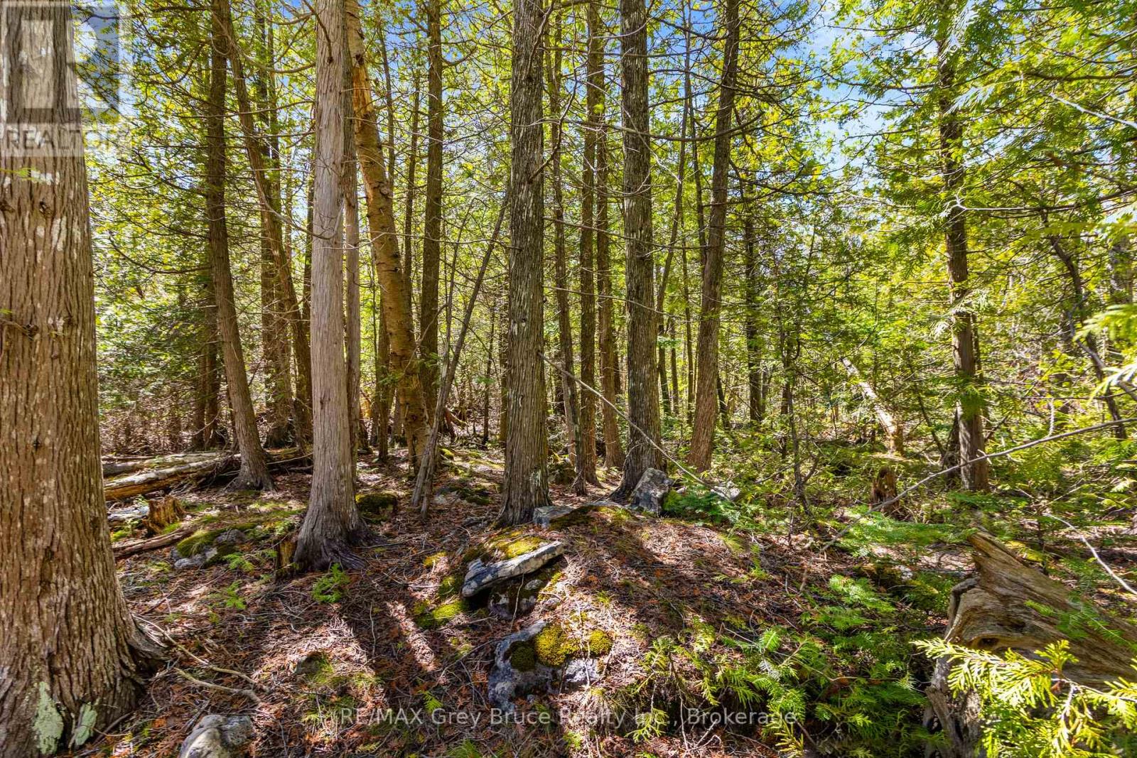 Pt Farm Lot 4 Chi Sin Tib Dek Road, Northern Bruce Peninsula, Ontario  N0H 2R0 - Photo 2 - X12806434