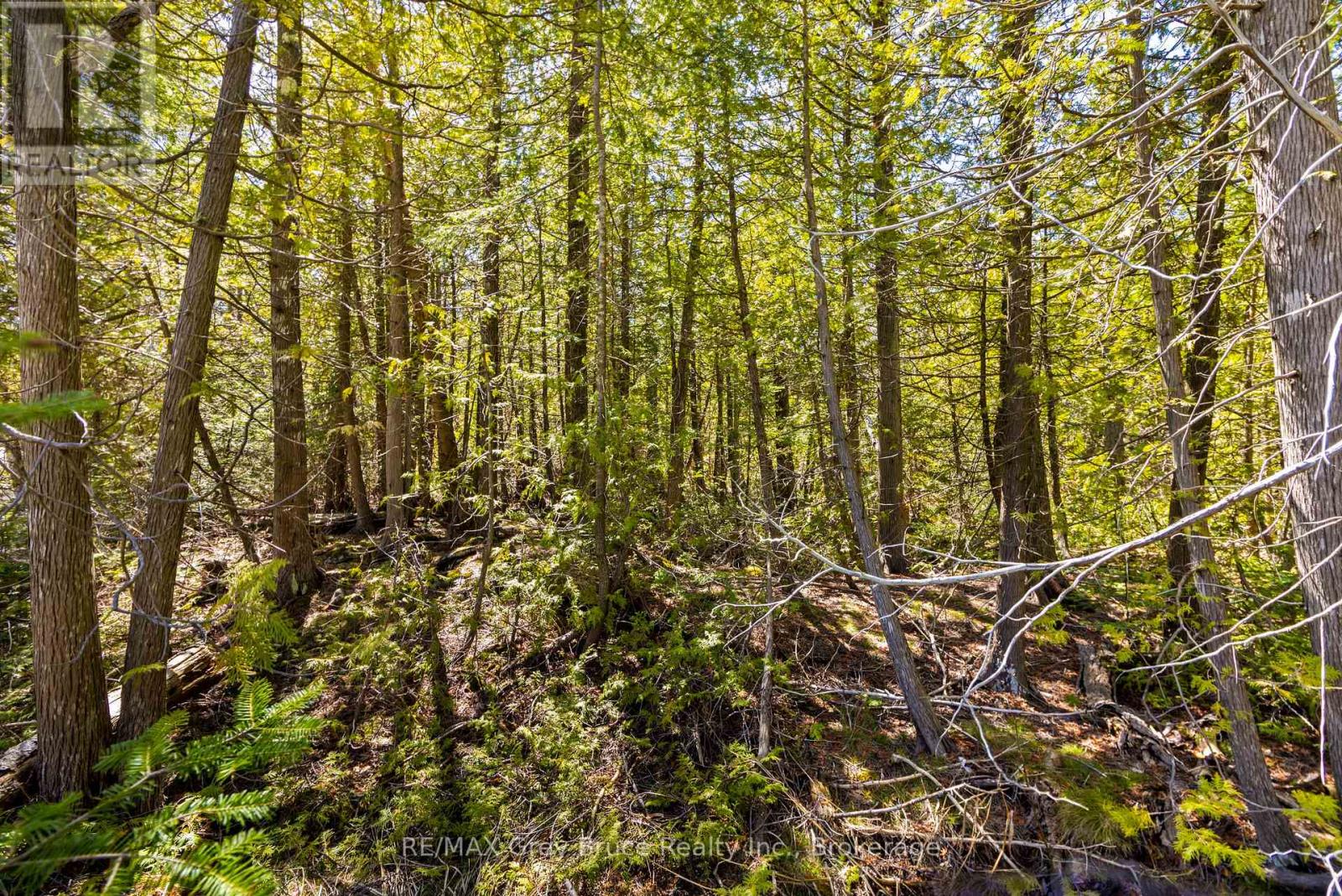 Pt Farm Lot 4 Chi Sin Tib Dek Road, Northern Bruce Peninsula, Ontario  N0H 2R0 - Photo 8 - X12806434