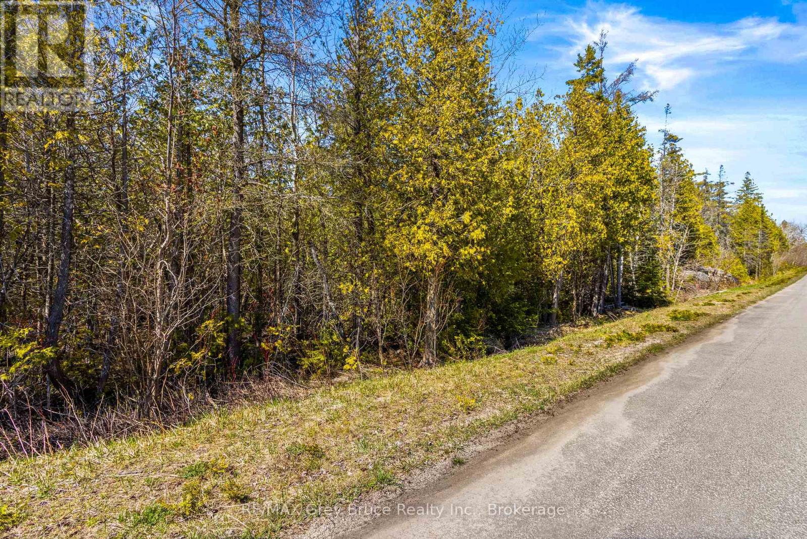 Pt Farm Lot 4 Chi Sin Tib Dek Road, Northern Bruce Peninsula, Ontario  N0H 2R0 - Photo 7 - X12806434