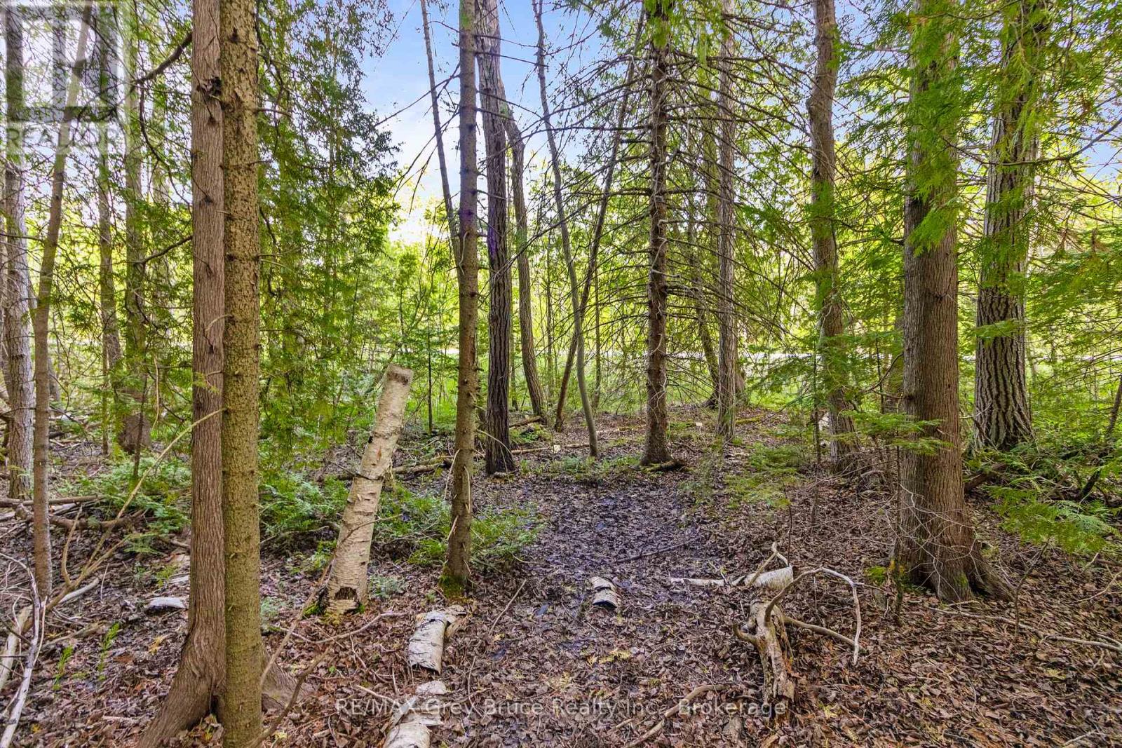 Part Farm Lot 4 Chi Sin Tib Dek Road, Northern Bruce Peninsula, Ontario  N0H 2R0 - Photo 12 - X12806974