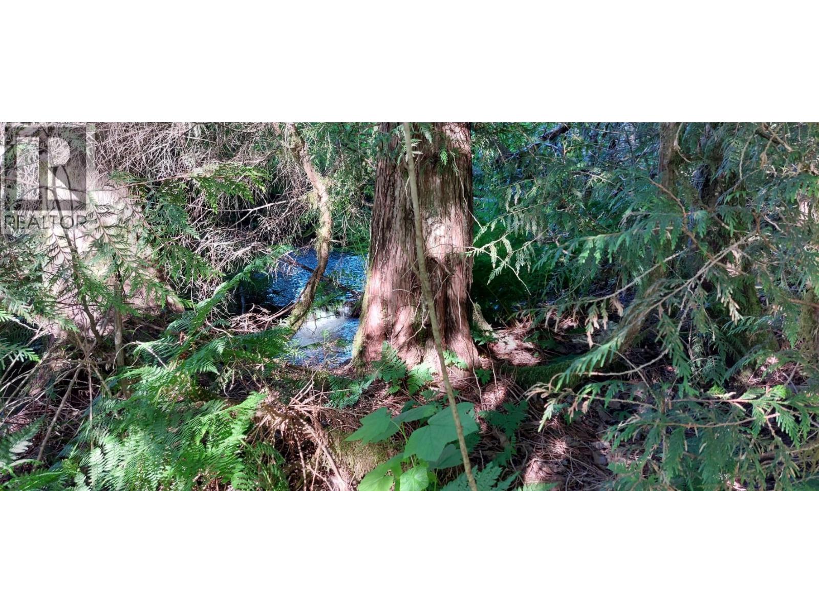 2250 Mackenzie 20 Highway, Hagensborg, British Columbia  V0T 1H0 - Photo 13 - R3128718