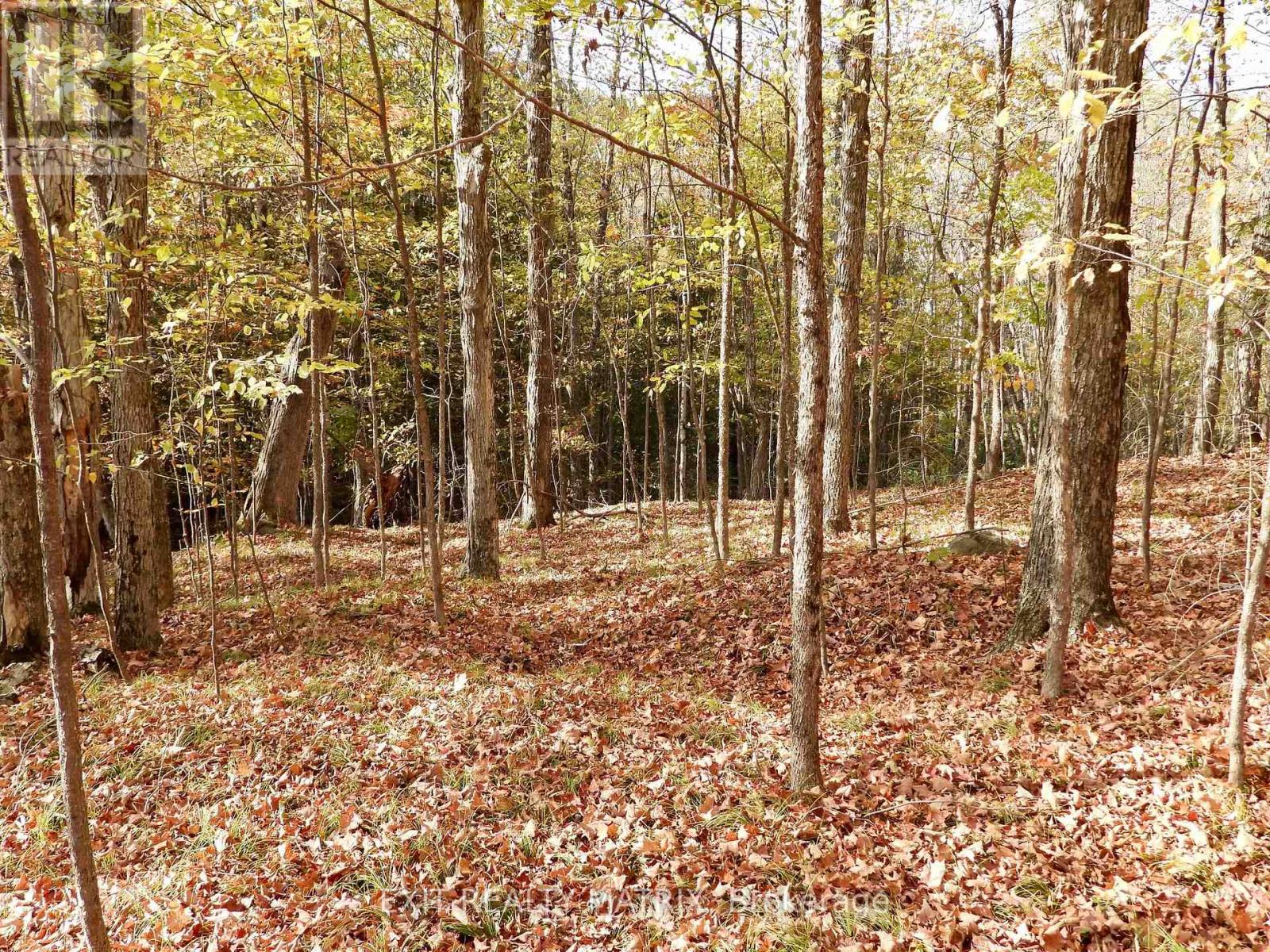 Lot 2 Woodland Park Drive, Frontenac, Ontario  K0H 1B0 - Photo 6 - X13172676