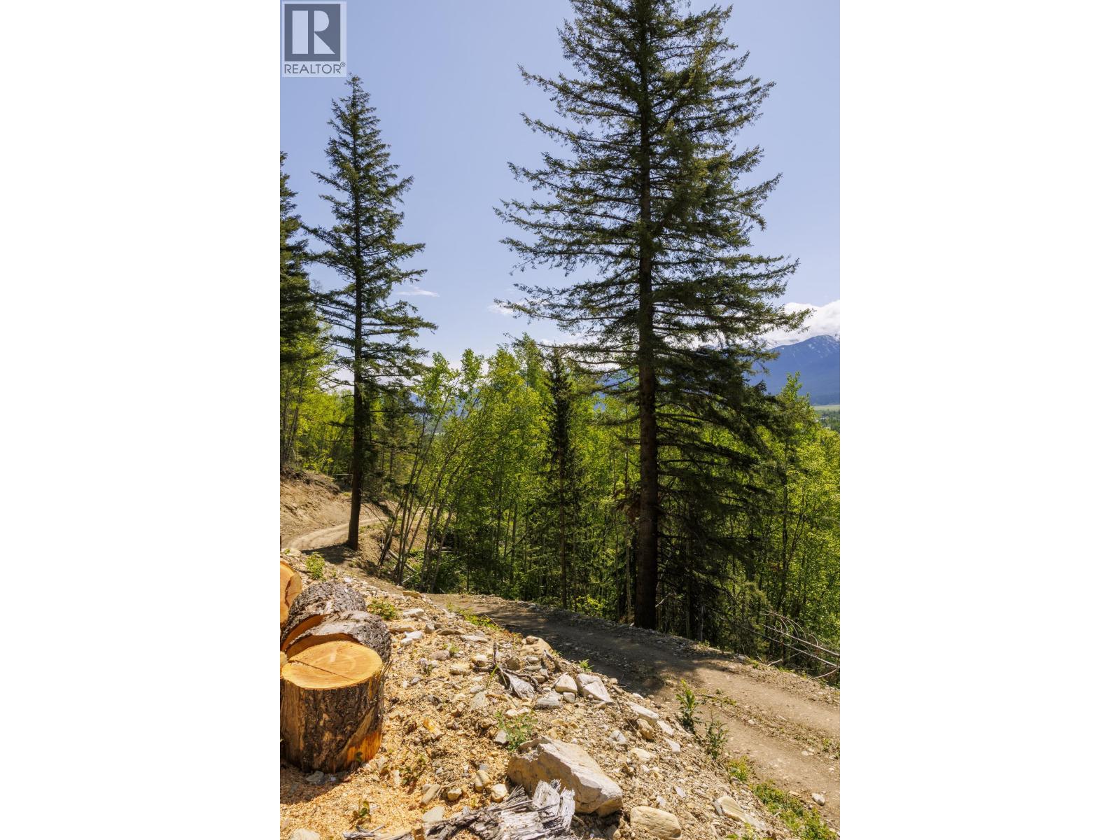 3260 Mountain View Road, Mcbride, British Columbia  V0J 2E0 - Photo 3 - R3128632