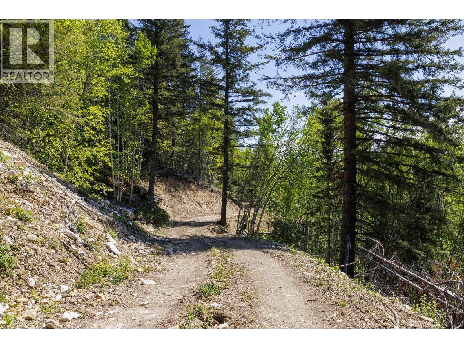 3260 Mountain View Road, Mcbride, British Columbia  V0J 2E0 - Photo 5 - R3128632