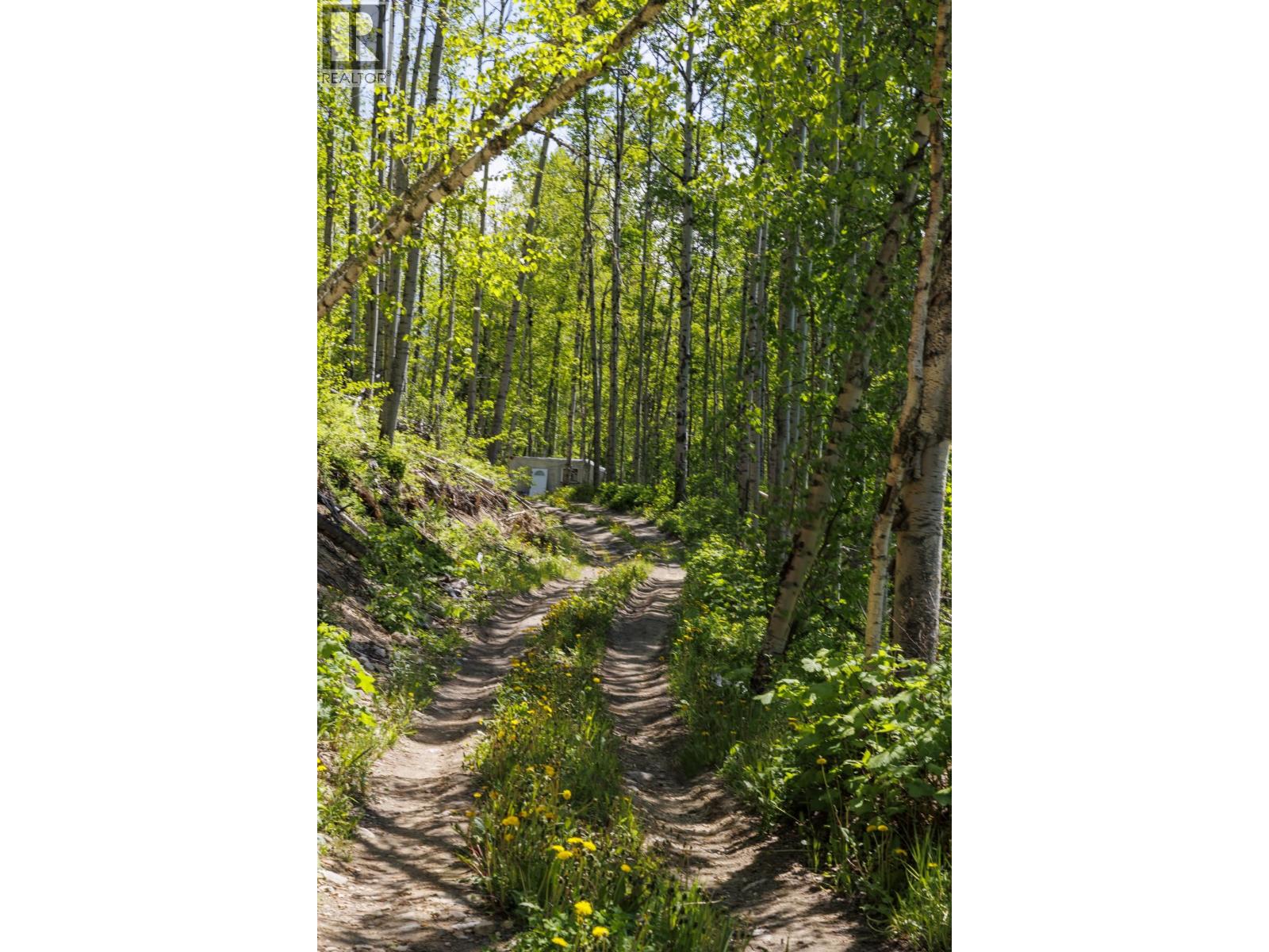 3260 Mountain View Road, Mcbride, British Columbia  V0J 2E0 - Photo 9 - R3128632
