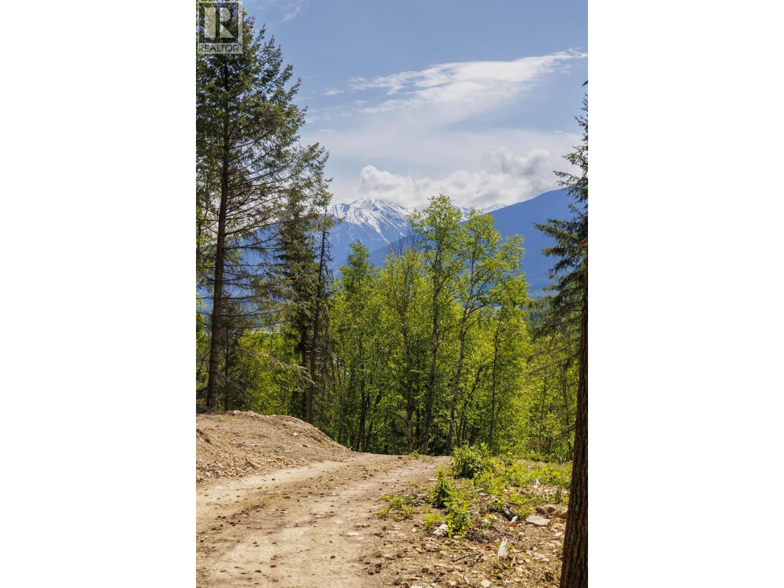 3260 Mountain View Road, Mcbride, British Columbia  V0J 2E0 - Photo 6 - R3128632