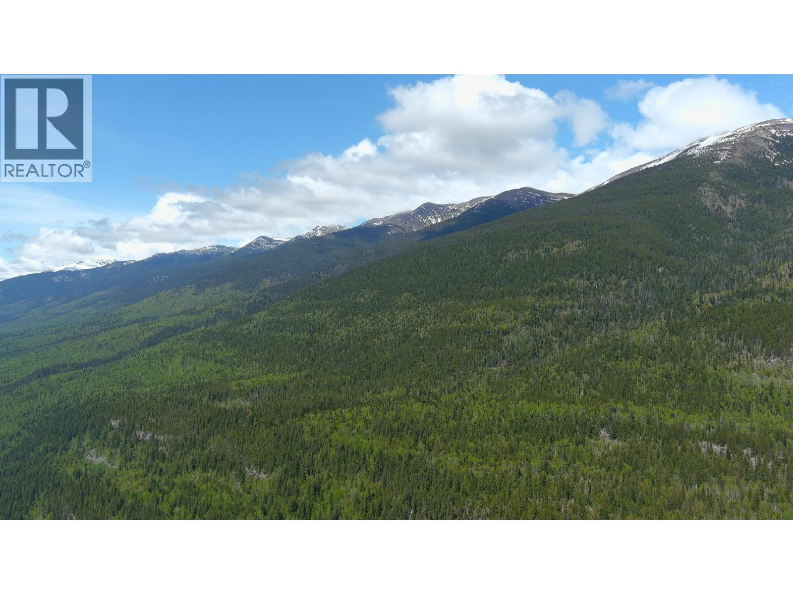3260 Mountain View Road, Mcbride, British Columbia  V0J 2E0 - Photo 17 - R3128632