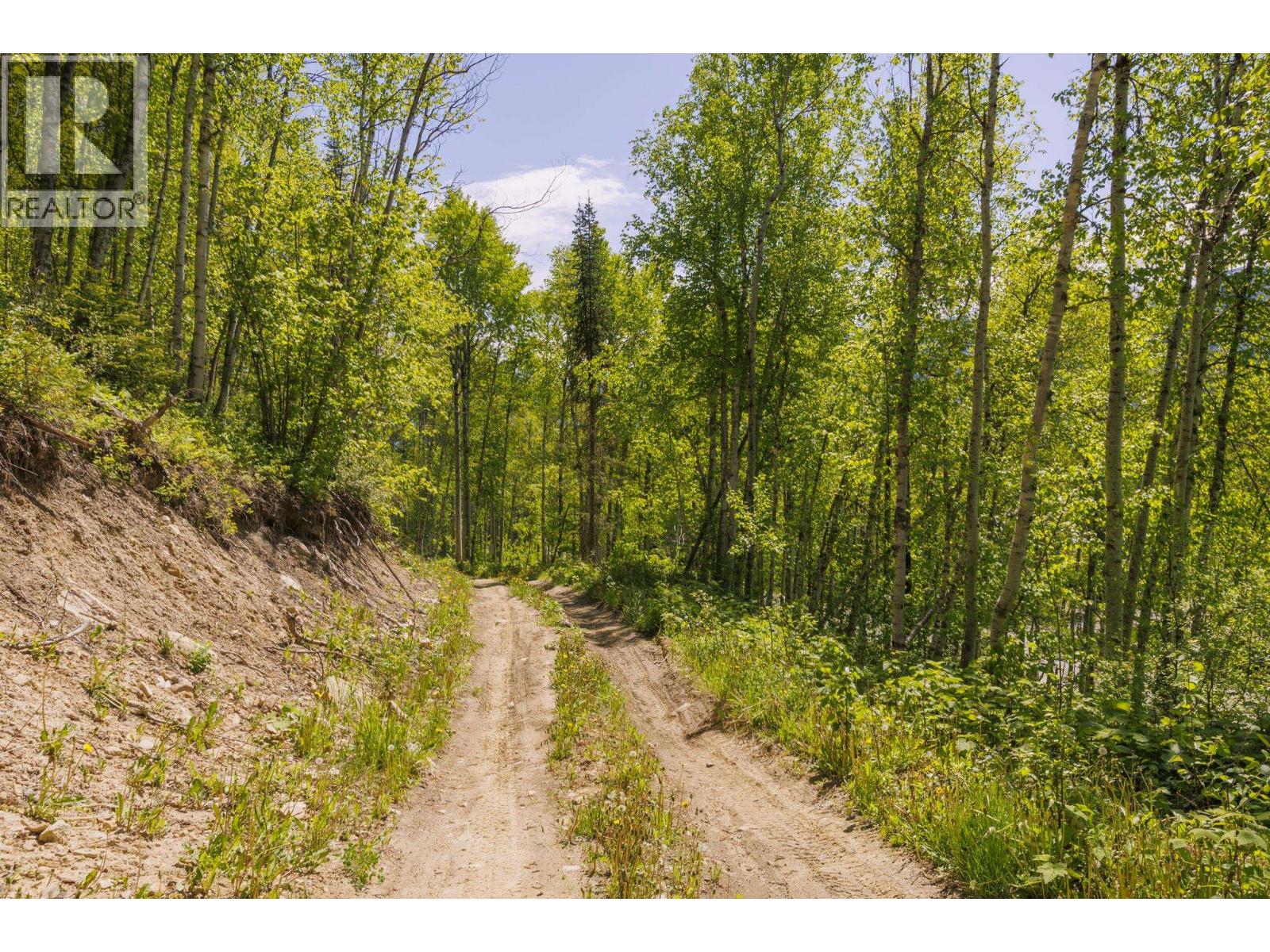 3260 Mountain View Road, Mcbride, British Columbia  V0J 2E0 - Photo 8 - R3128632