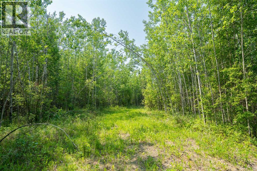 Lot 16 Estates Of East Mountain, Rural Woodlands County, Alberta  T7S 1N9 - Photo 4 - A2270920