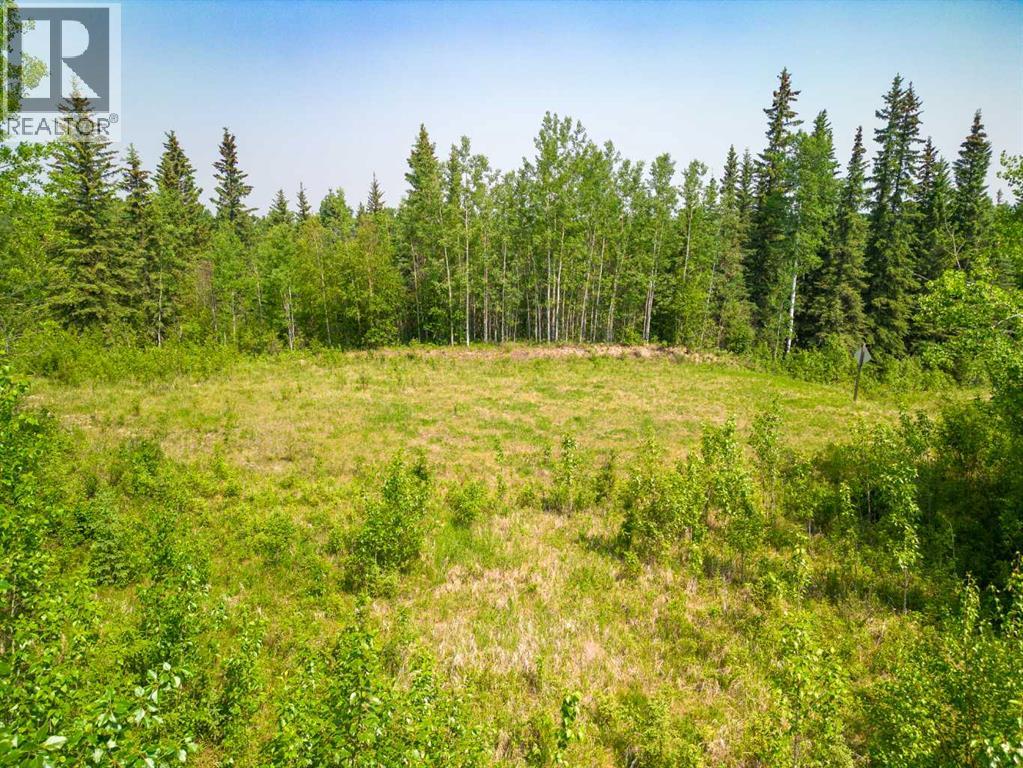 Lot 16 Estates Of East Mountain, Rural Woodlands County, Alberta  T7S 1N9 - Photo 3 - A2270920