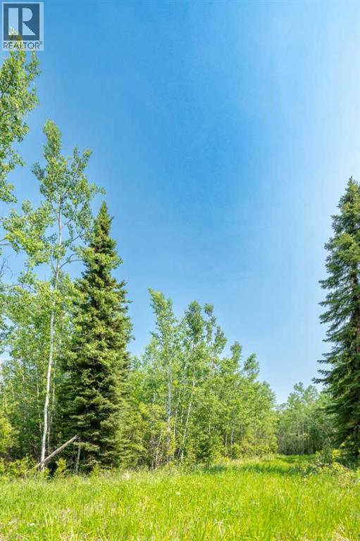 Lot 16 Estates Of East Mountain, Rural Woodlands County, Alberta  T7S 1N9 - Photo 6 - A2270920