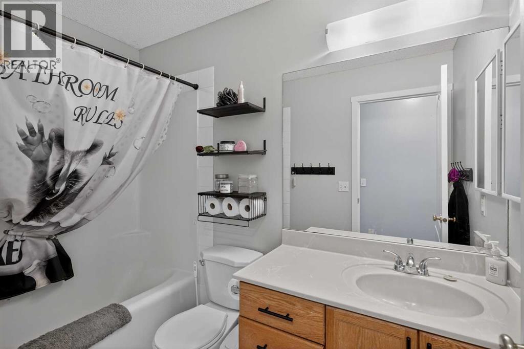 38 Canoe Circle SW, Airdrie, Alberta  T4B 2L6 - Photo 21 - A2311189