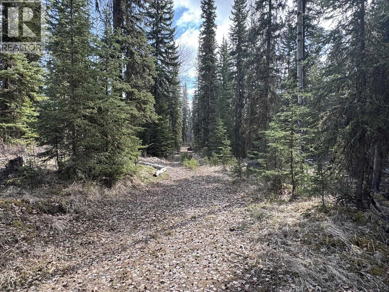 Lot 1 Little Holden Lake, 100 Mile House, British Columbia  V0K 2E0 - Photo 15 - R3128904