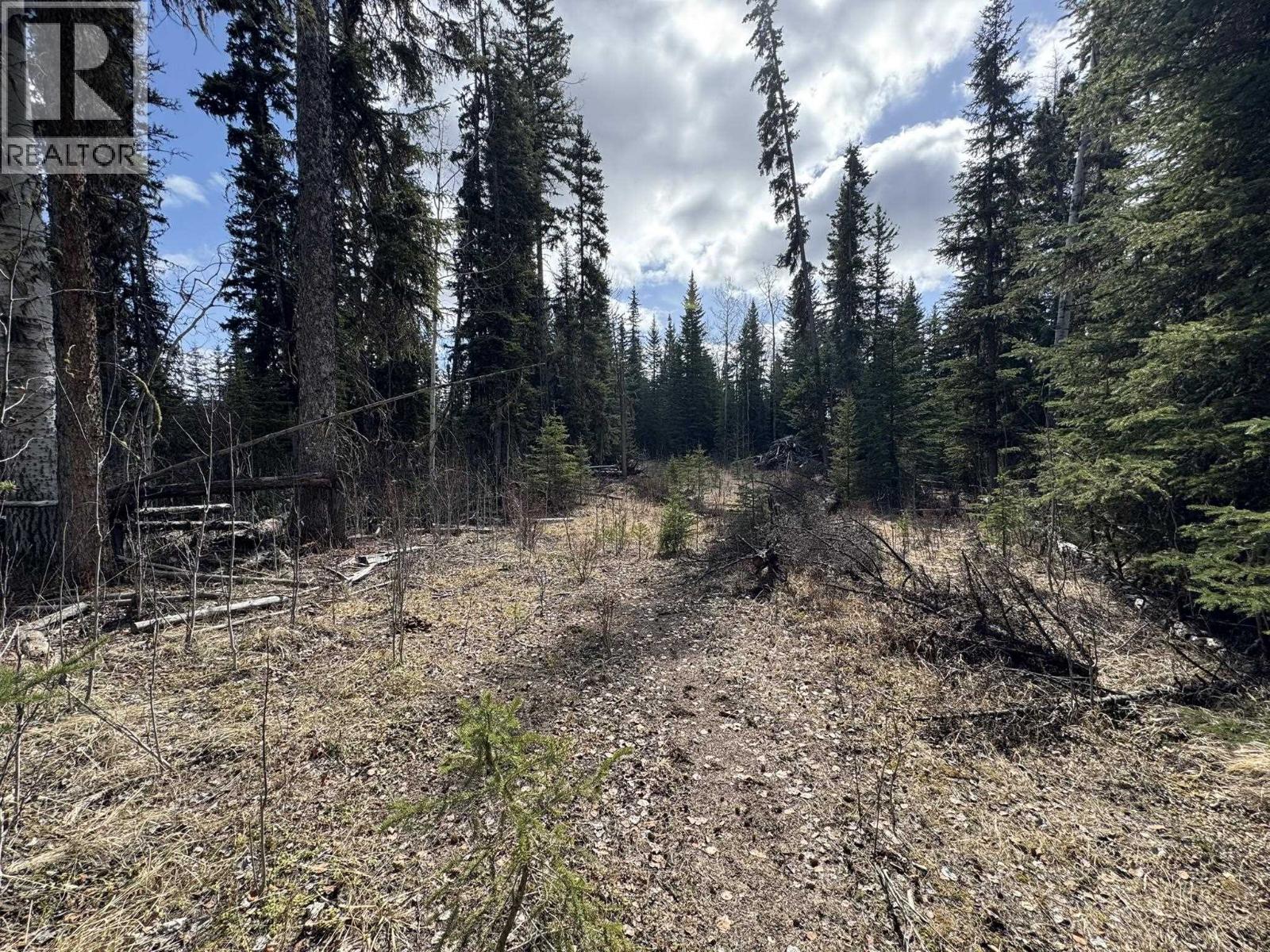 Lot 1 Little Holden Lake, 100 Mile House, British Columbia  V0K 2E0 - Photo 17 - R3128904