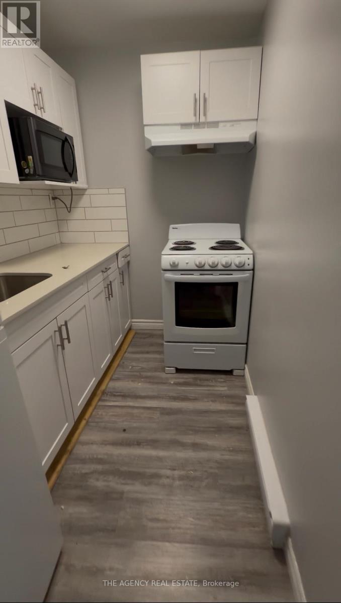 204 - 91 Thames Street S, Ingersoll, Ontario  N5C 2T2 - Photo 3 - X13204580