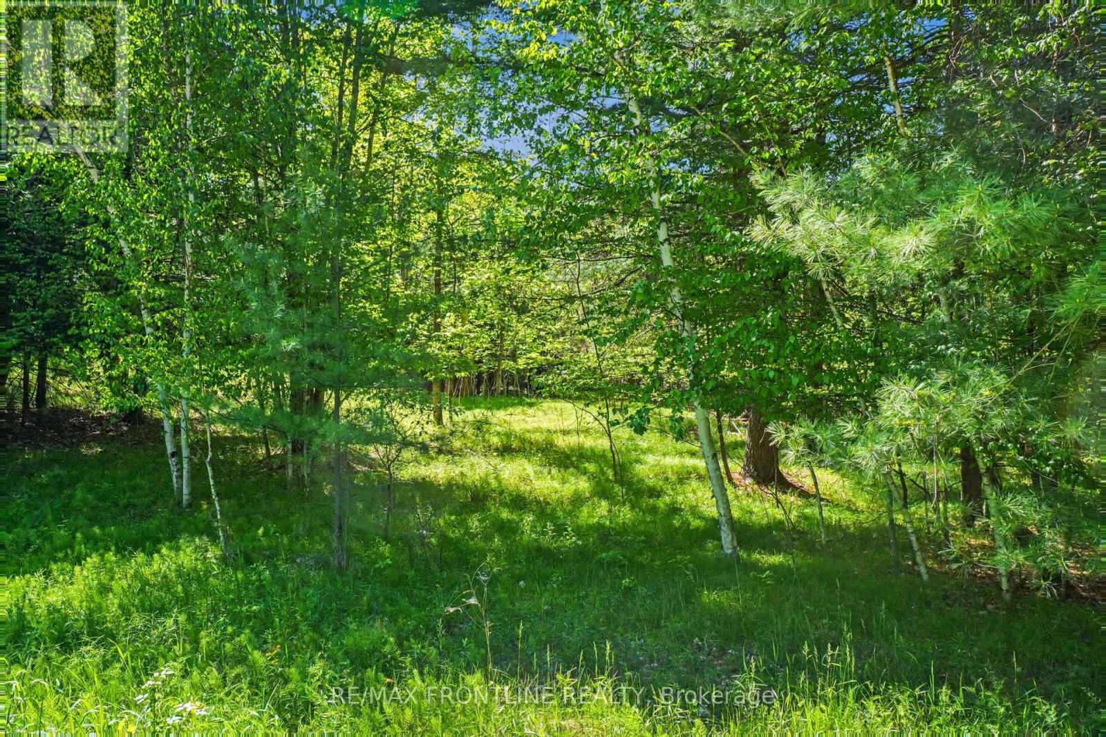 0 Healey Drive, Drummond/north Elmsley, Ontario K7H 0H1 - Photo 3 - X13204706