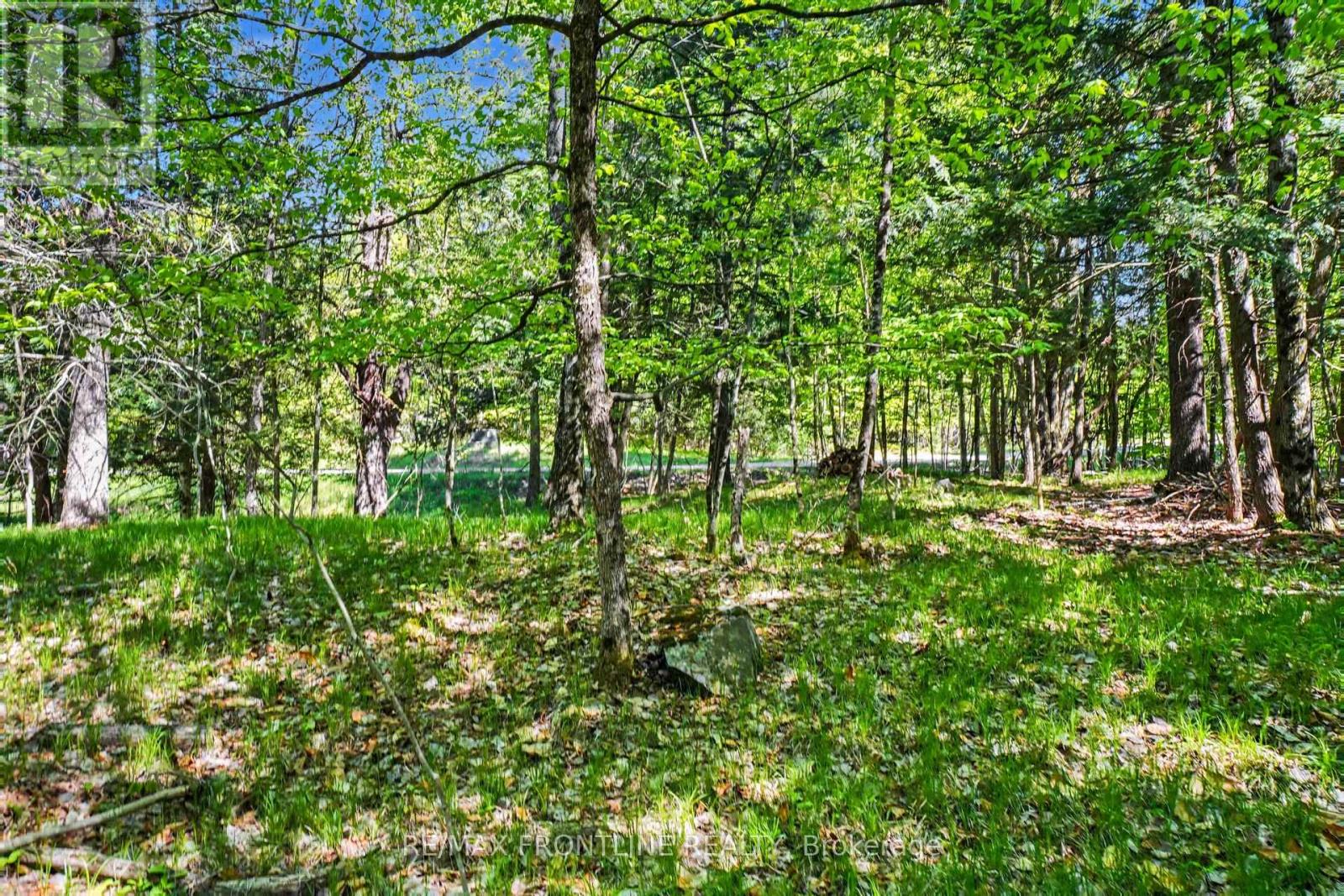 0 Healey Drive, Drummond/north Elmsley, Ontario K7H 0H1 - Photo 4 - X13204706