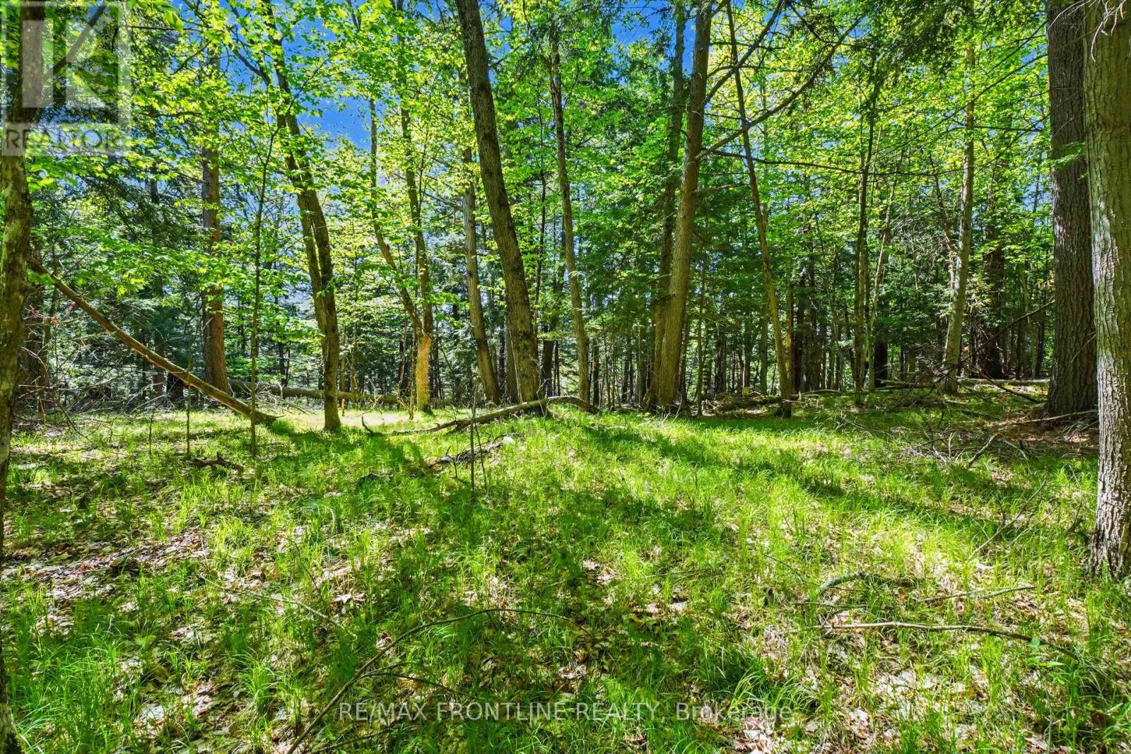 0 Healey Drive, Drummond/north Elmsley, Ontario K7H 0H1 - Photo 5 - X13204706