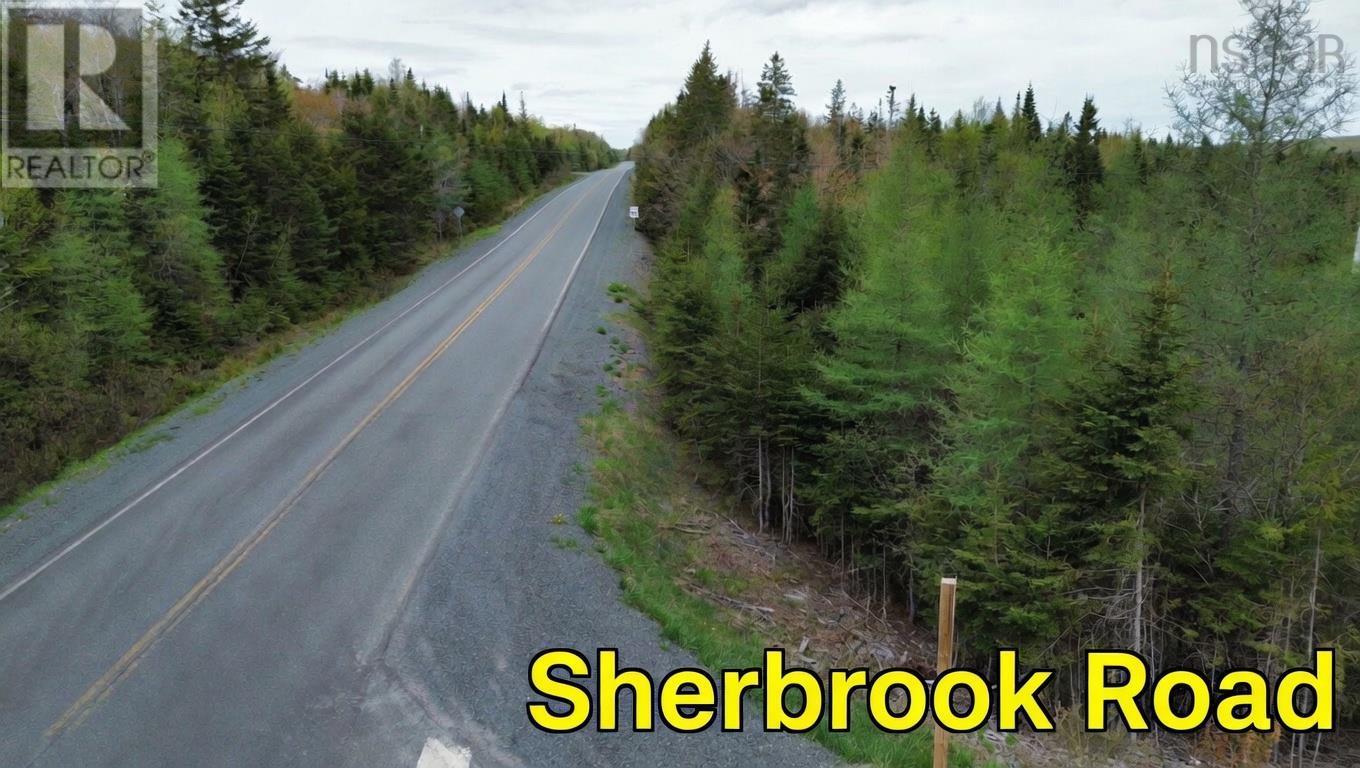 Sherbrooke Road, Moose River, Nova Scotia  B0K 1W0 - Photo 2 - 202612381