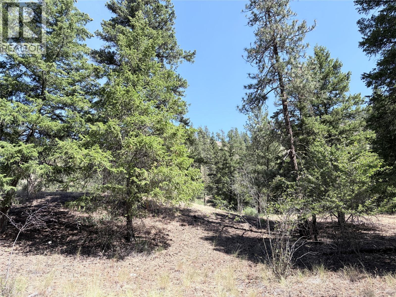 5667 Highway 12 Highway, Lillooet, British Columbia  V0K 1V0 - Photo 22 - 10380588