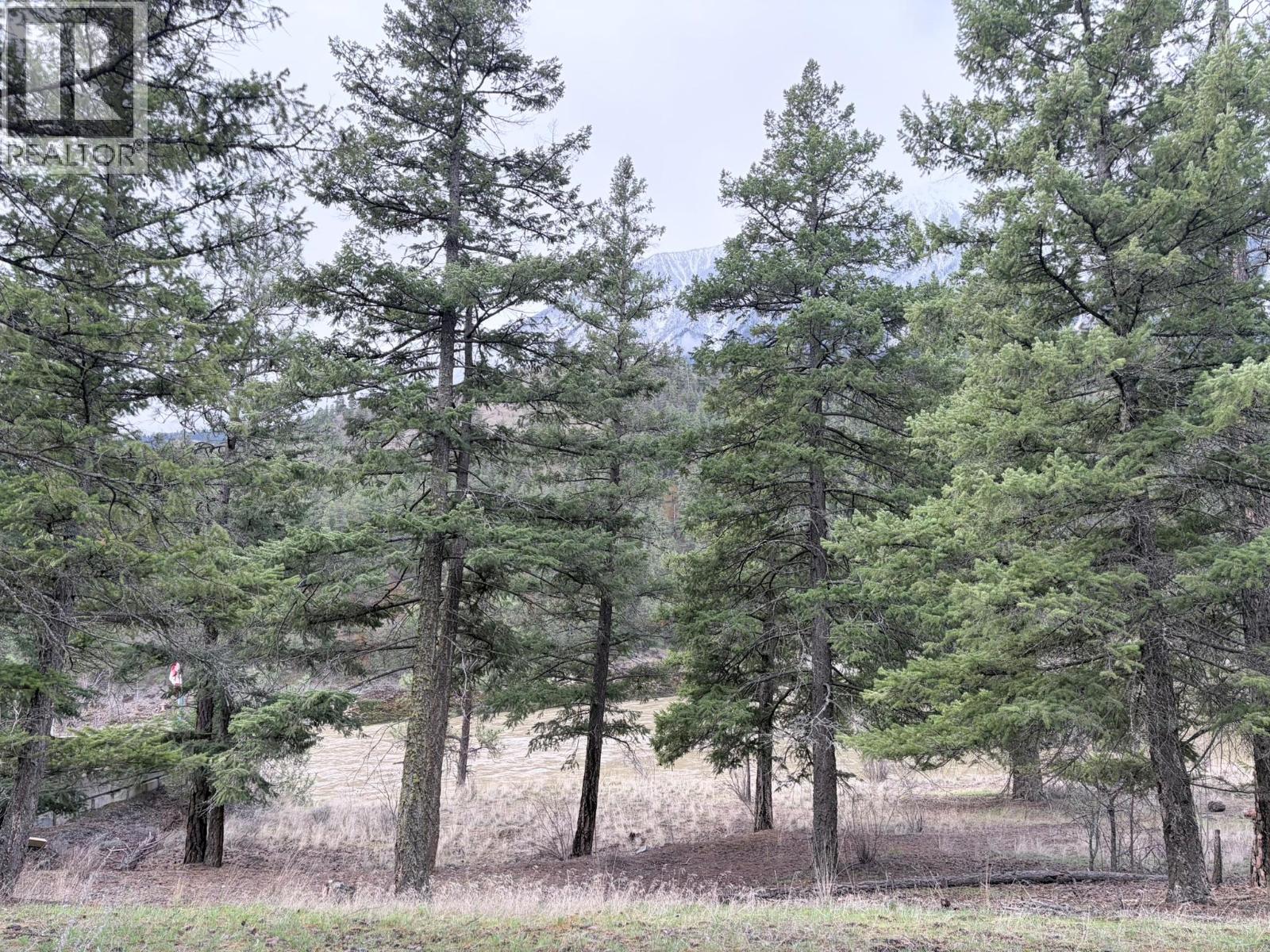 5667 Highway 12 Highway, Lillooet, British Columbia  V0K 1V0 - Photo 13 - 10380588