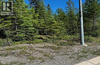 37 Driftwood Place, Elkford, British Columbia V0B 1H0 - Photo 1 - 10389090