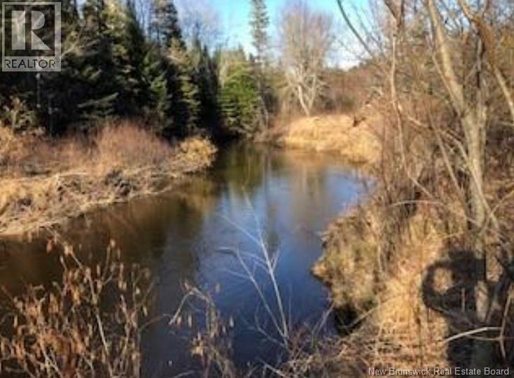 Lot 3227 Route 495, South Branch, New Brunswick  E4W 3L6 - Photo 1 - NB130228