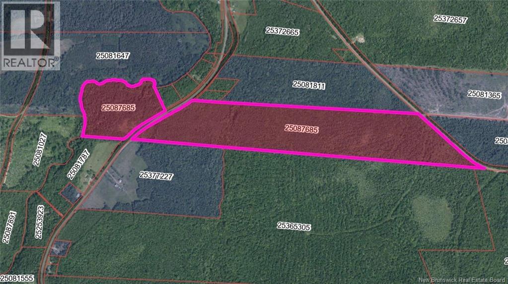 Lot 3227 Route 495, South Branch, New Brunswick  E4W 3L6 - Photo 2 - NB130228