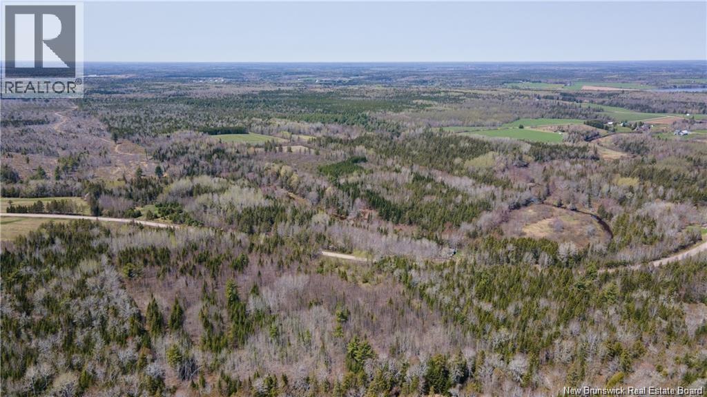 Lot 3227 Route 495, South Branch, New Brunswick  E4W 3L6 - Photo 4 - NB130228
