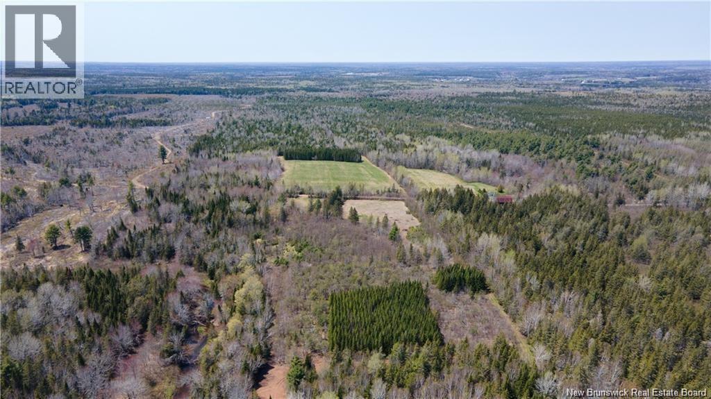 Lot 3227 Route 495, South Branch, New Brunswick  E4W 3L6 - Photo 5 - NB130228
