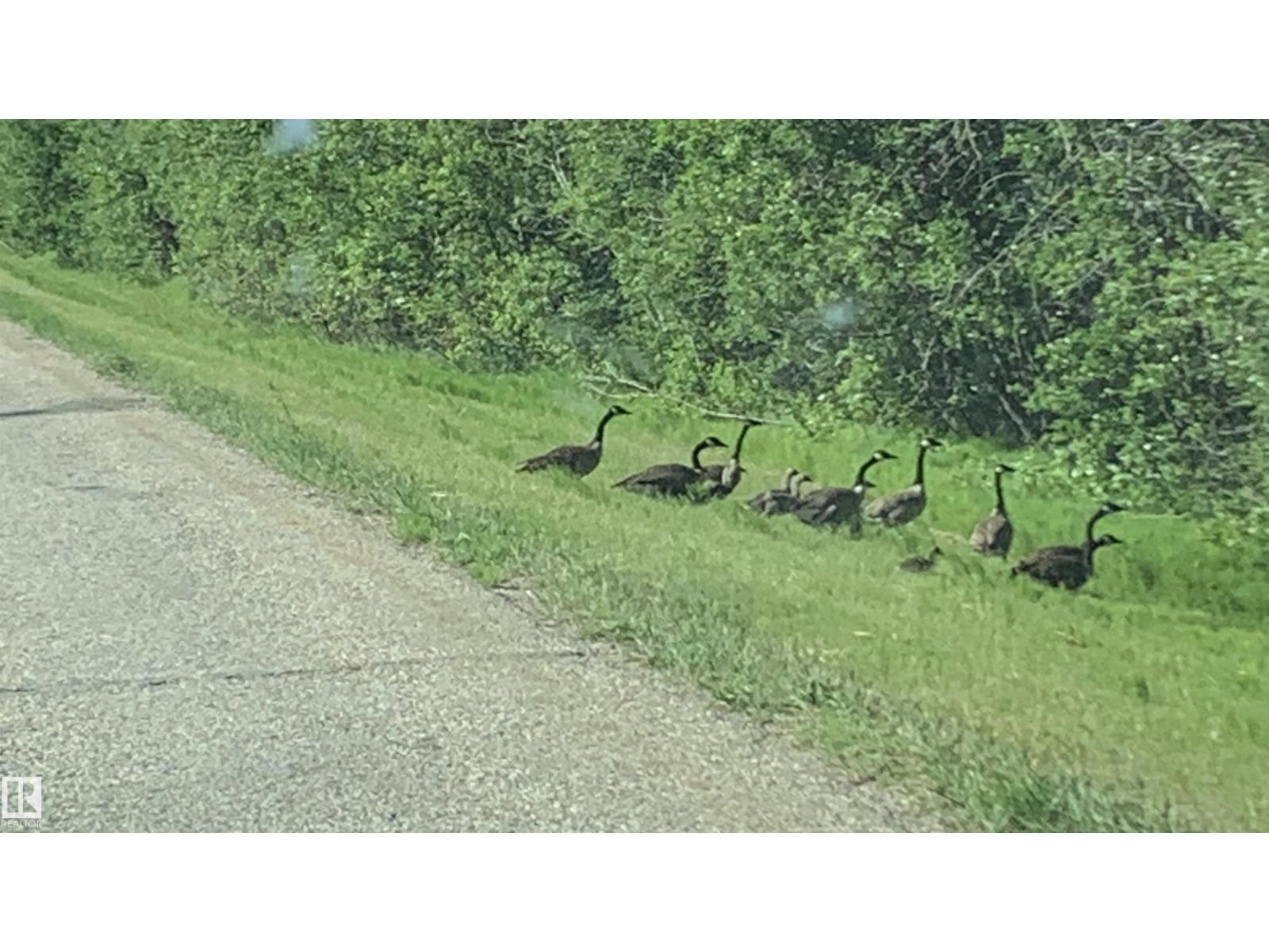 2417a Twp. Rd. 530, Rural Parkland County, Alberta  T7Y 3M9 - Photo 3 - E4490275