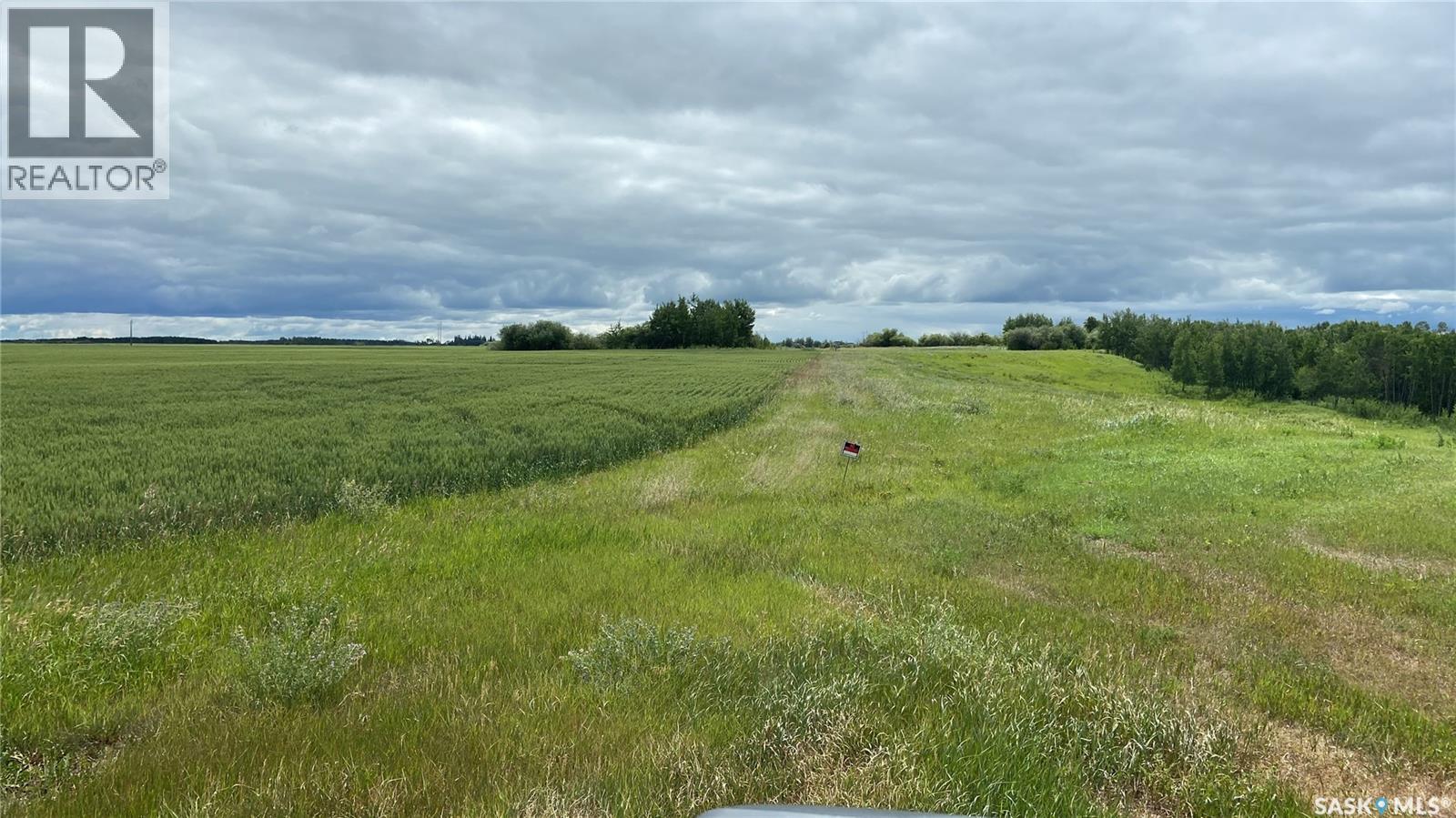 20 Acre Dream, Connaught Rm No. 457, Saskatchewan  S0E 1T0 - Photo 4 - SK037224