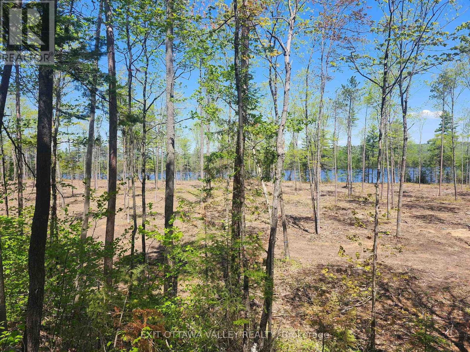 191 Timm Road, Whitewater Region, Ontario  K0J 2L0 - Photo 48 - X13112728