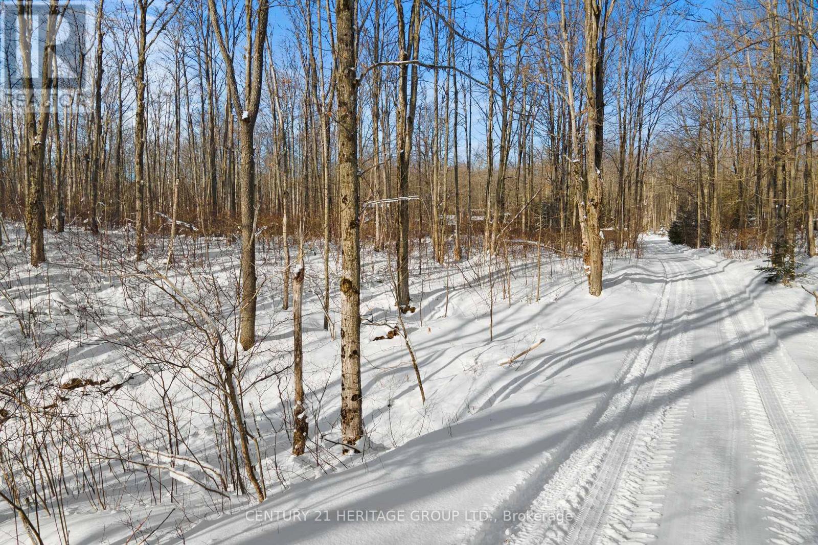 580223 Sideroad 60, Chatsworth, Ontario  N0H 1C0 - Photo 30 - X12713012