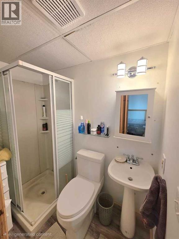 10818 92 Street, Peace River, Alberta  T8S 1P4 - Photo 29 - A2285774