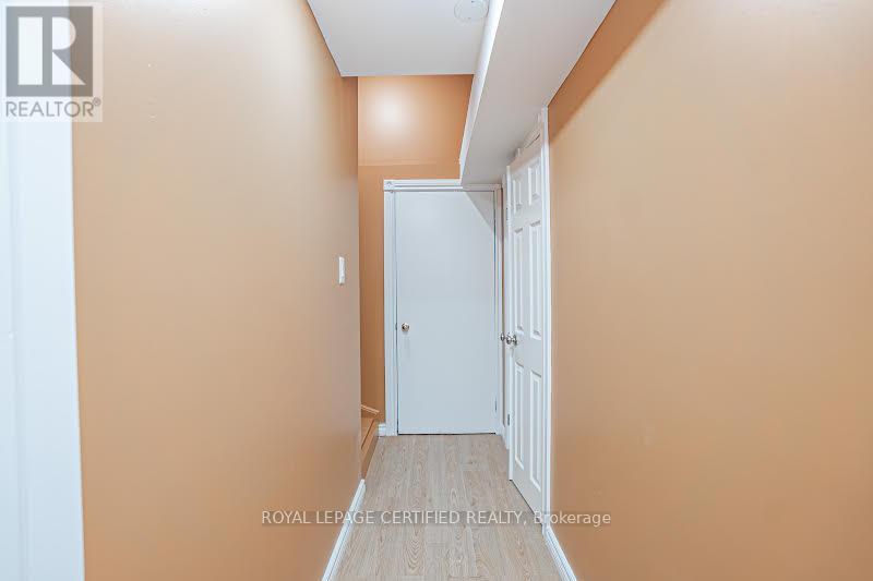 Bsmt - 19 Savita Road, Brampton, Ontario  L7A 3T2 - Photo 2 - W13205844