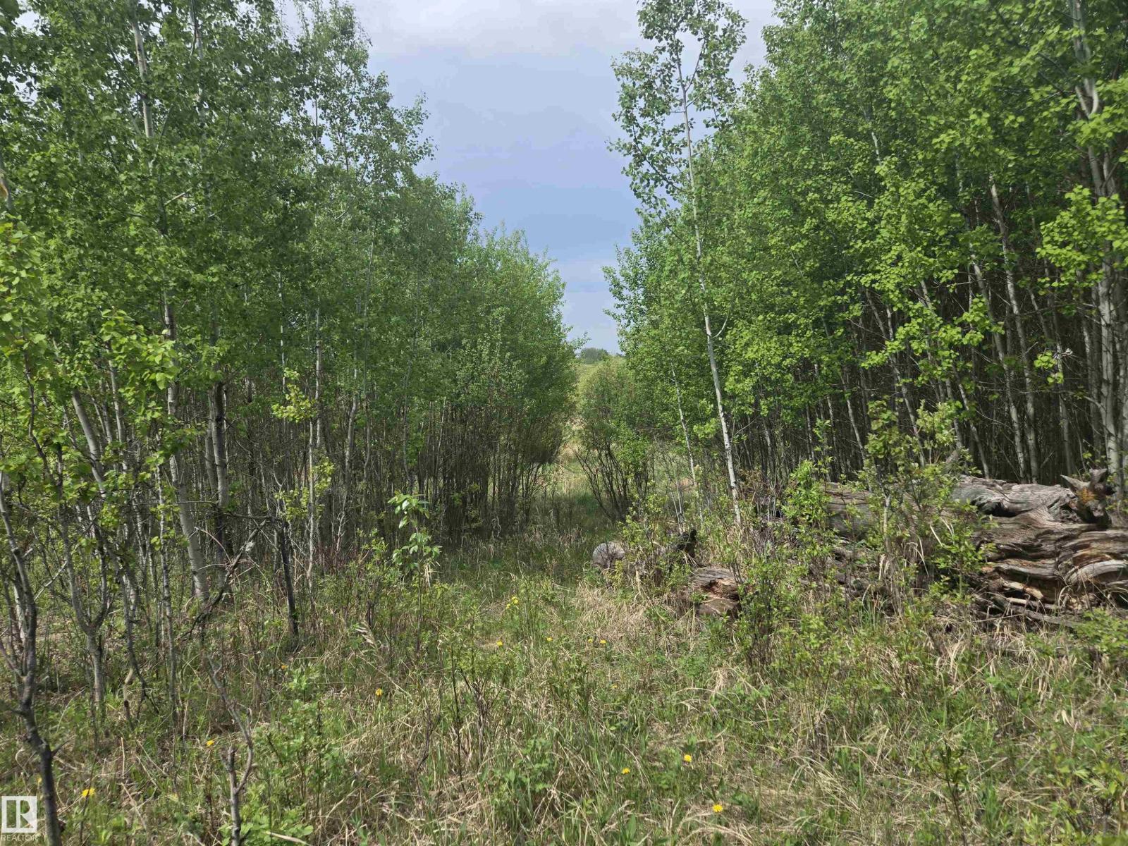 Twp Rd 540 & Range Rd 35, Rural Lac Ste. Anne County, Alberta  T0E 0A0 - Photo 3 - E4490010