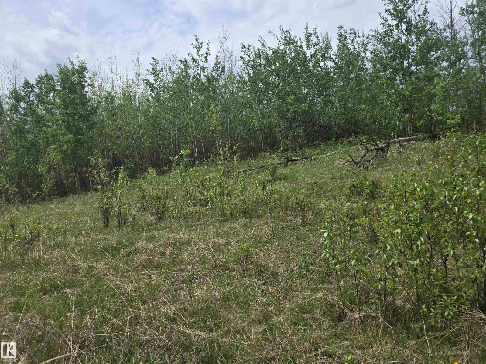 Twp Rd 540 & Range Rd 35, Rural Lac Ste. Anne County, Alberta  T0E 0A0 - Photo 4 - E4490010