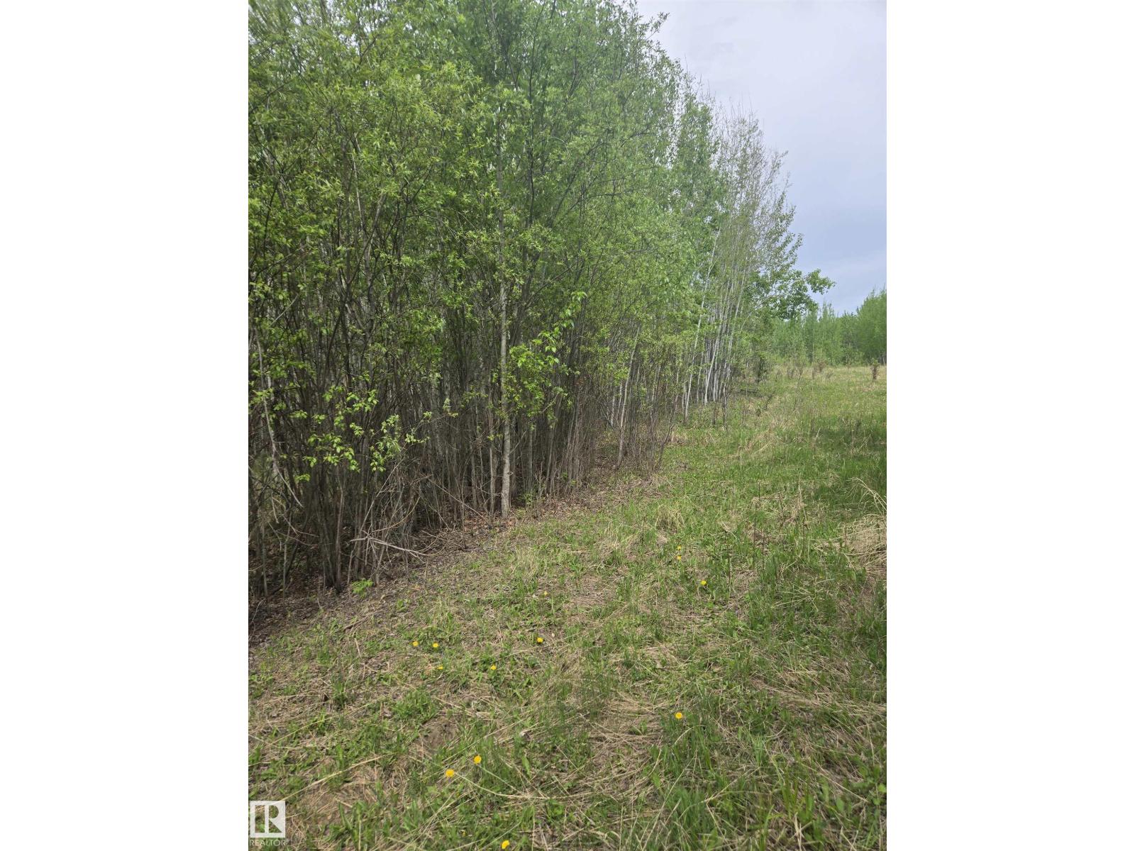 Twp Rd 540 & Range Rd 35, Rural Lac Ste. Anne County, Alberta  T0E 0A0 - Photo 5 - E4490010