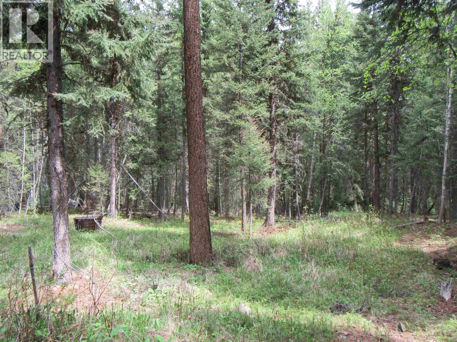 Lot 81 Julsrud Road, Deka Lake / Sulphurous / Hathaway Lakes, British Columbia  V0K 1X3 - Photo 13 - R3128944