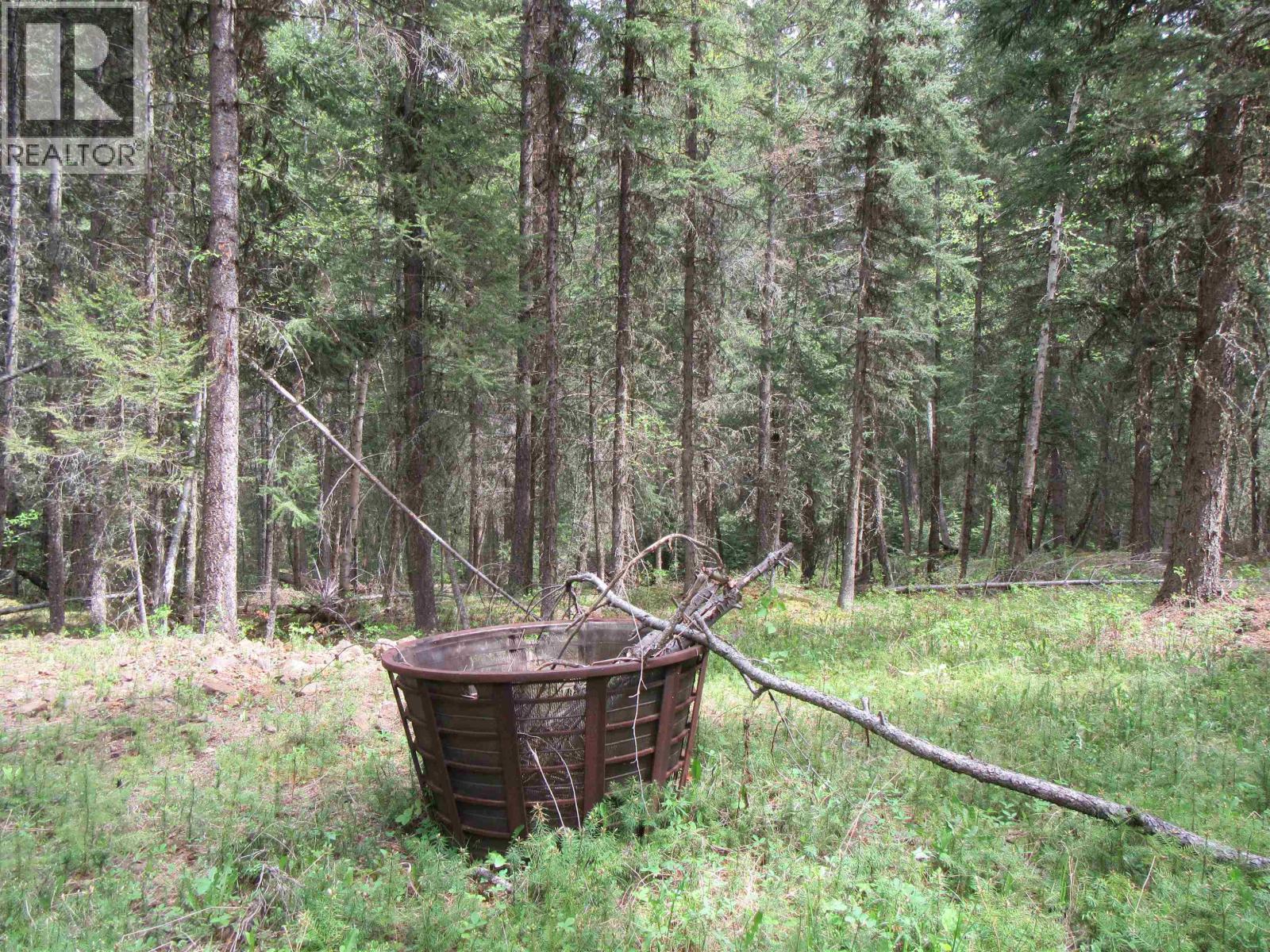 Lot 81 Julsrud Road, Deka Lake / Sulphurous / Hathaway Lakes, British Columbia  V0K 1X3 - Photo 12 - R3128944