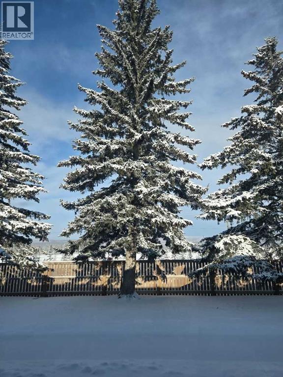 29, 441 Switzer Drive, Hinton, Alberta  T7V 1Z7 - Photo 36 - A2289634