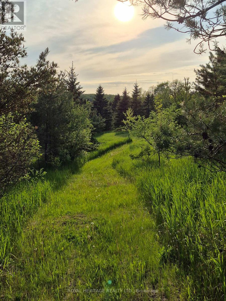 815 Wagg Road, Uxbridge, Ontario  L9P 0K9 - Photo 44 - N13205948