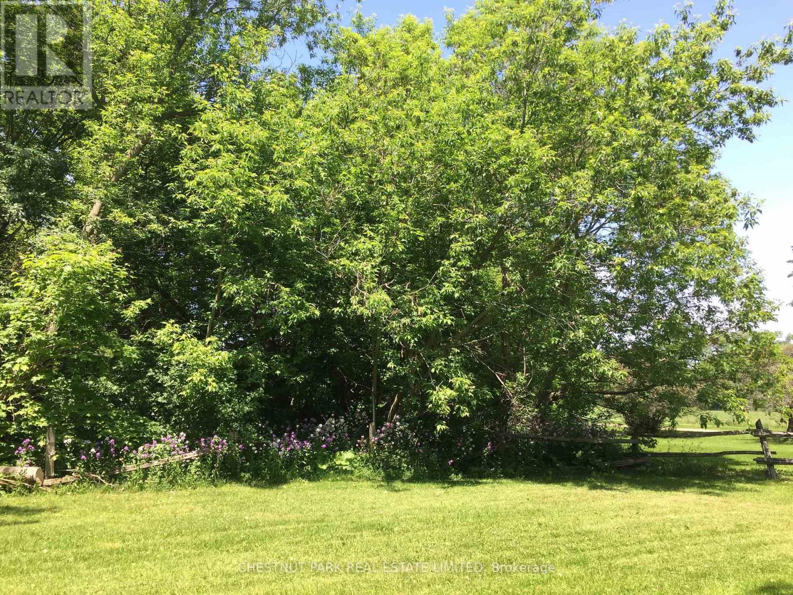 1336 County Rd 11, Prince Edward County, Ontario  K0K 2T0 - Photo 35 - X12977756