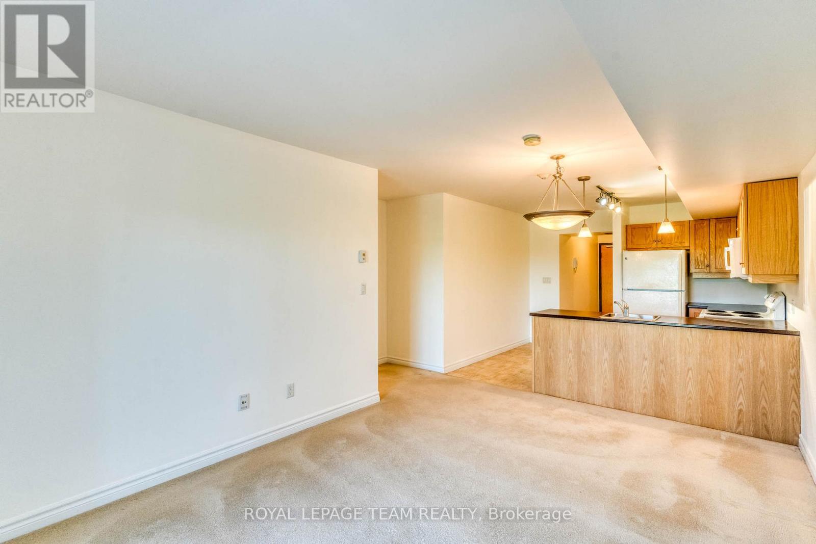 204 - 100 Jamieson Street, Mississippi Mills, Ontario  K0A 1A0 - Photo 8 - X13206028