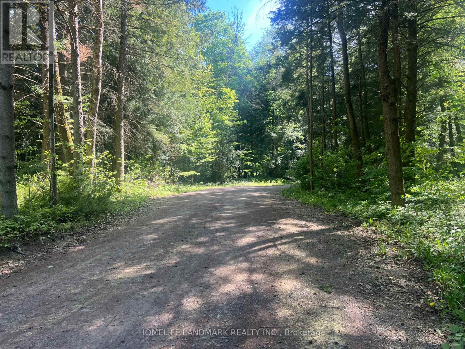 8800 Concession 2 Road, Uxbridge, Ontario  L0G 1M0 - Photo 28 - N13185354