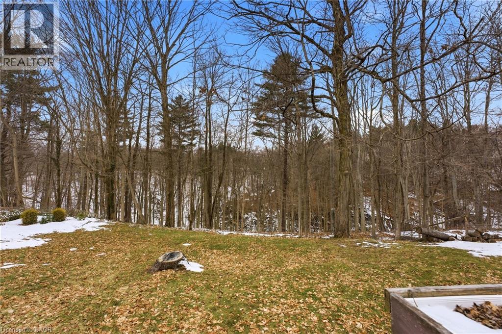 10475 Plank Road, Eden, Ontario  N0J 1H0 - Photo 33 - 40831184