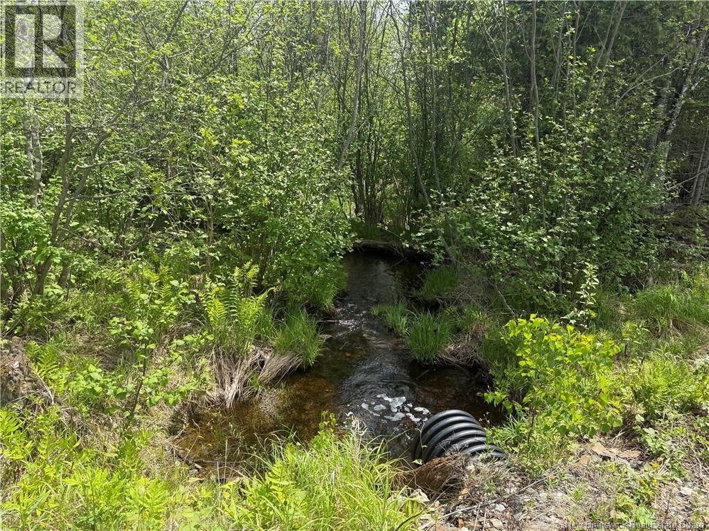 0 Benton Road, Benton, New Brunswick E7N 3C9 - Photo 4 - NB138037