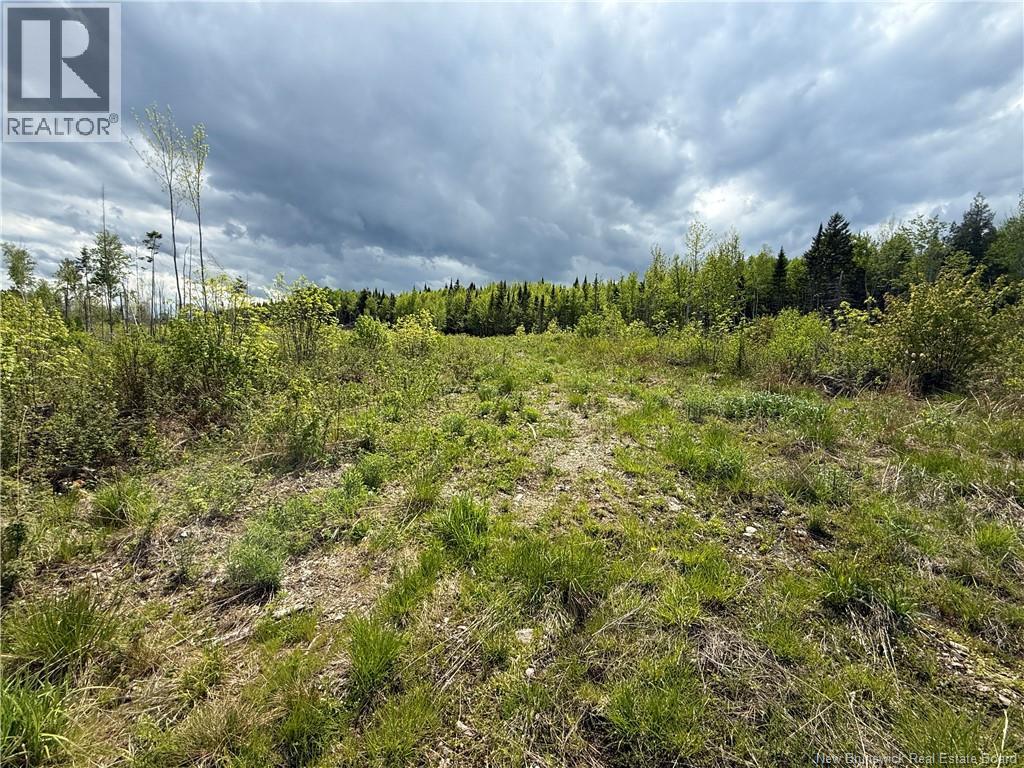 0 Benton Road, Benton, New Brunswick E7N 3C9 - Photo 6 - NB138037