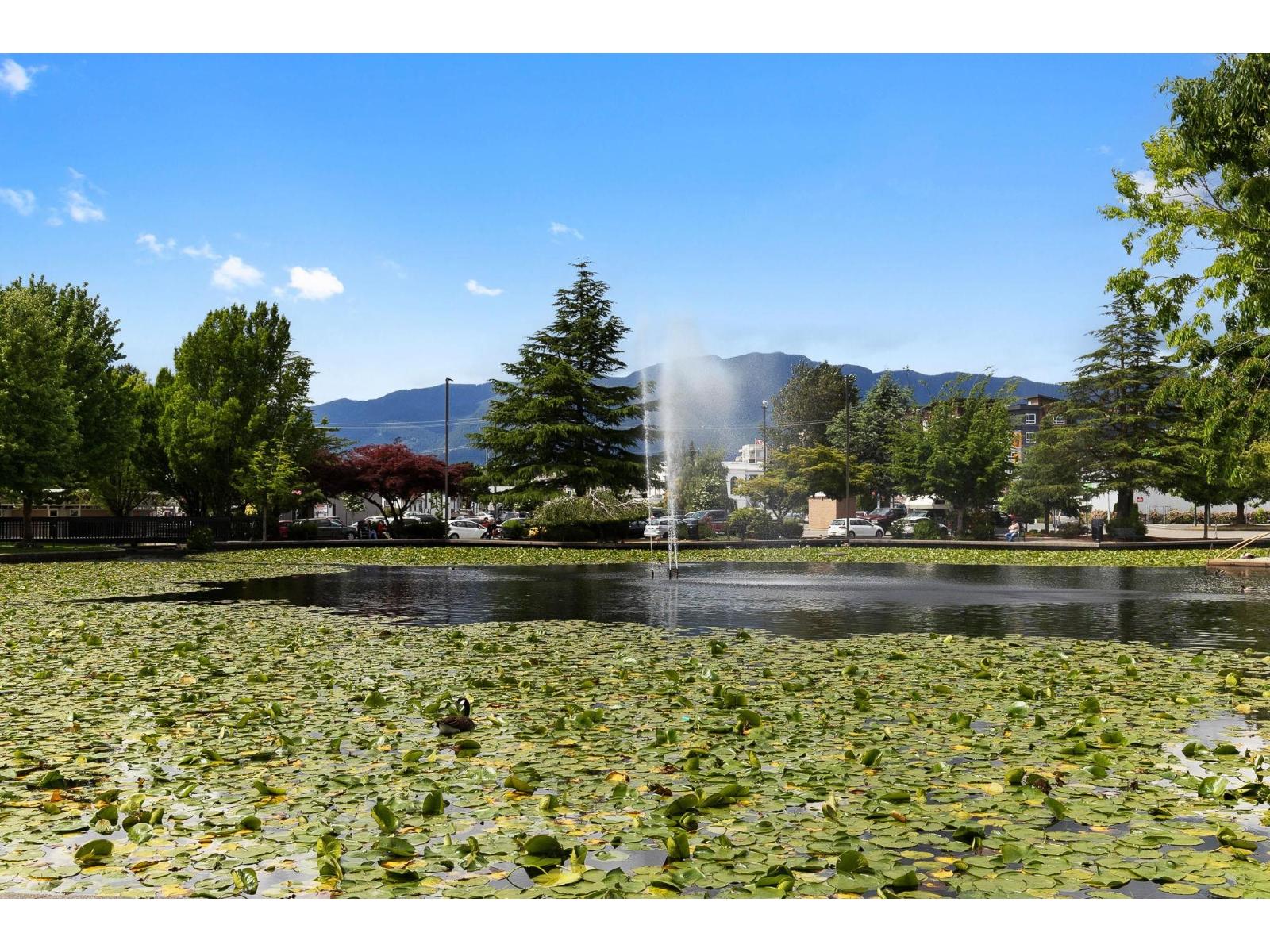 6 45915 Cheam Avenue, Chilliwack Downtown, Chilliwack, British Columbia  V2P 1N7 - Photo 27 - R3127916